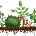 horticulure