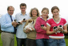 Its a dog's life!