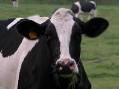 The Permanent Secretary at DEFRA?