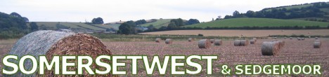 Hay bales in Somerset West / Sedgemoor